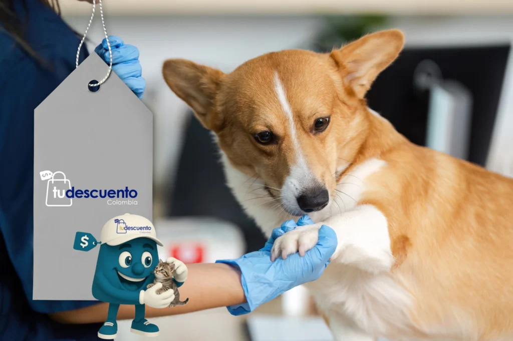 Tu Mascota, Tu Familia: Salud Integral y Ahorro con Movet y Tu Descuento