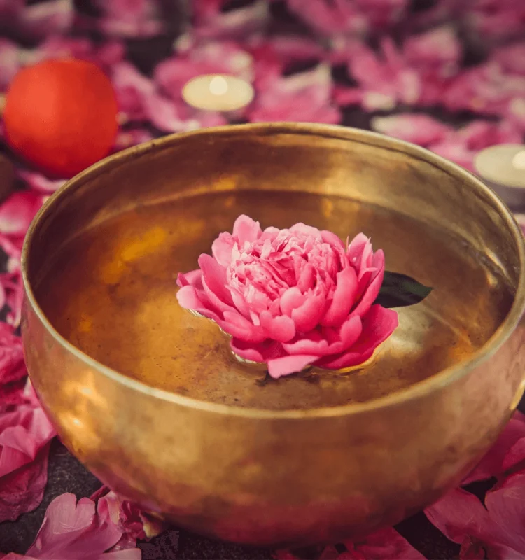 Tu descuento - 2026-03-02T220219.939 (1)